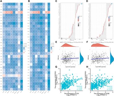 LCK and CD3E Orchestrate the Tumor Microenvironment and Promote Immunotherapy Response and Survival of Muscle-Invasive Bladder Cancer Patients